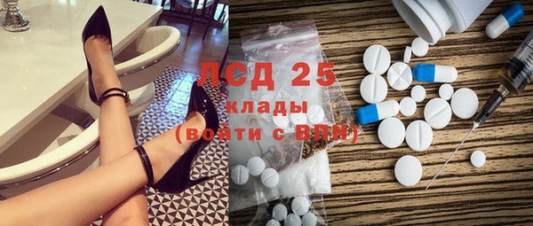 эйфоретик Аркадак