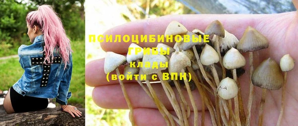 экстази Арсеньев